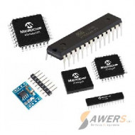 Atmel Microchip (24)