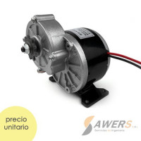 Motorreductor DC Brushed 12/24V 250W Motorreductor DC Brushed 12/24V 250W